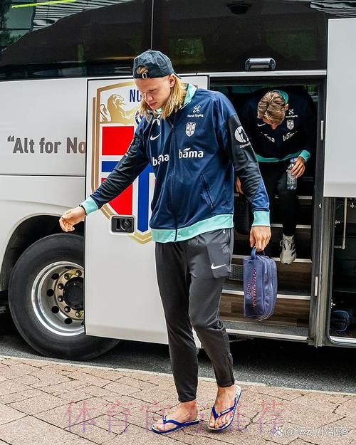 本届世界杯德国哈兰德比赛解读深度解读