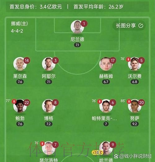 世界杯荷兰哈兰德比赛解读全面分析